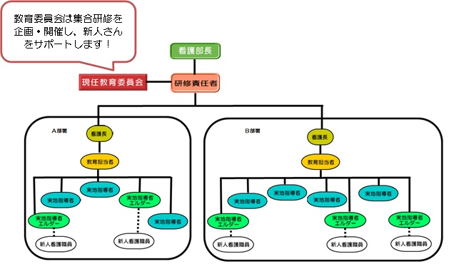 新人看護職員の教育組織図