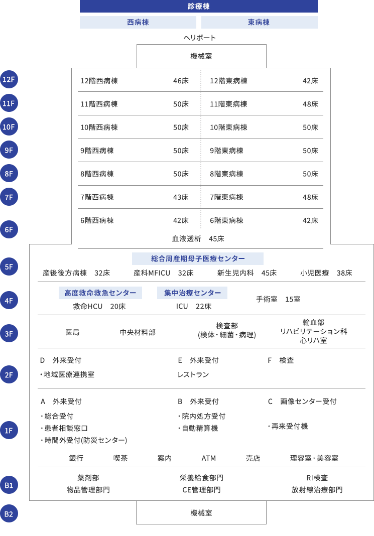 ward-composition-241209.png