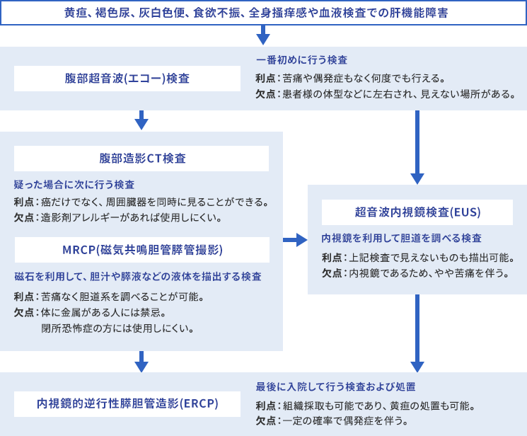 胆道がんの主な検査