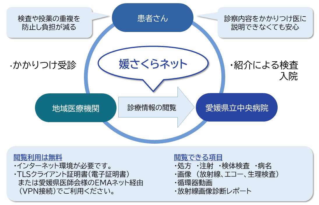 媛さくらネットについて