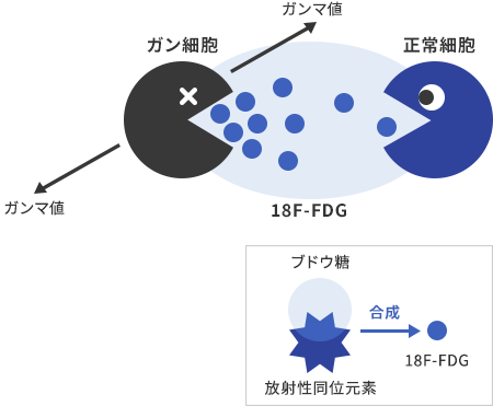 PETとは