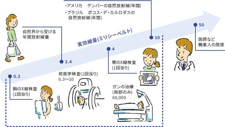 被ばく線量の目安