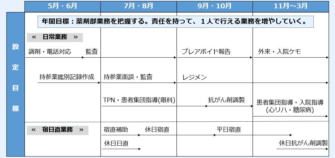 新規採用職員育成計画