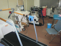 riha003.gif